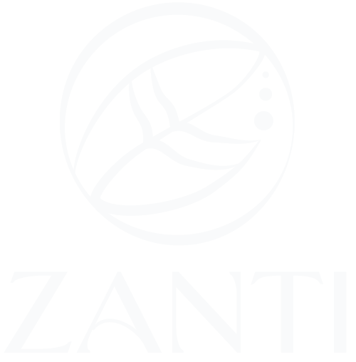 zanti primary logo light
